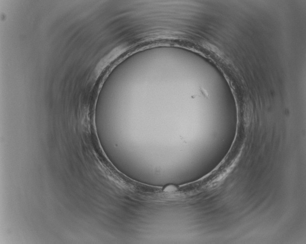 X0000069841113200606021354