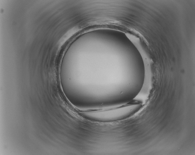 X0000069841114200606021354