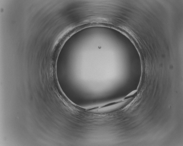 X0000069841115200606021354