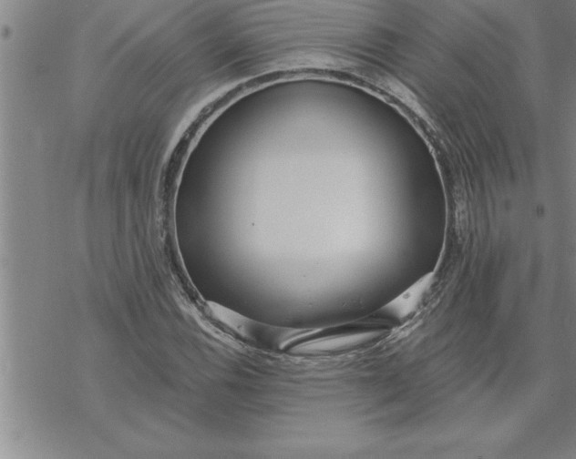 X0000069841116200606021354