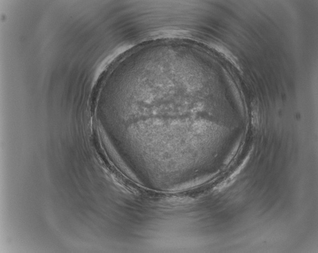 X0000069841117200606021354