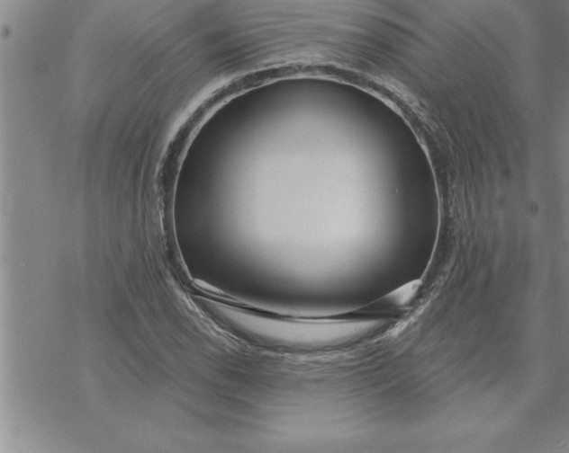 X0000069841118200606021354