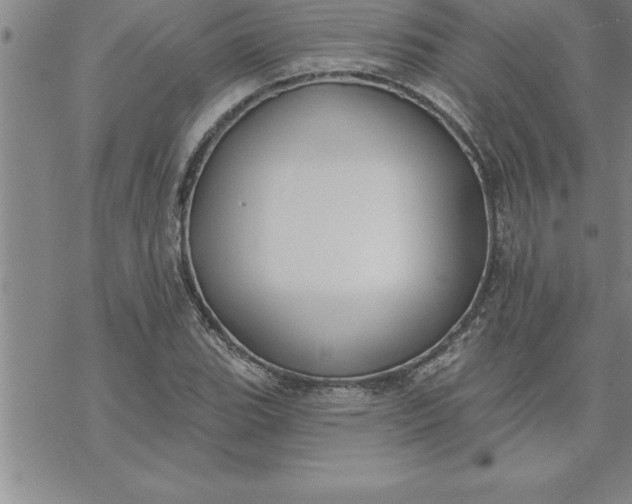 X0000069841119200606021354