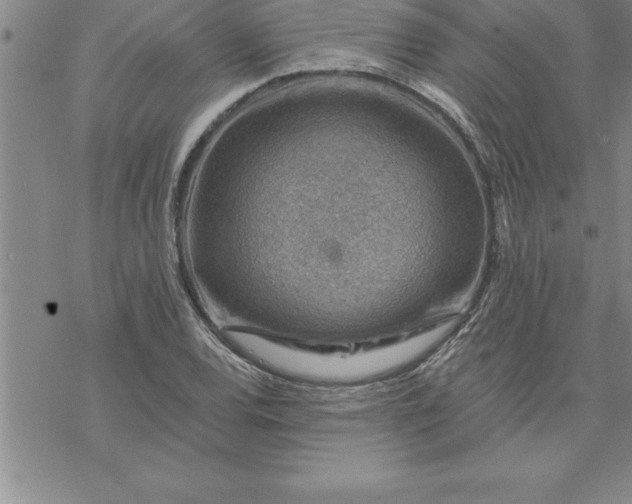 X0000069841120200606021354