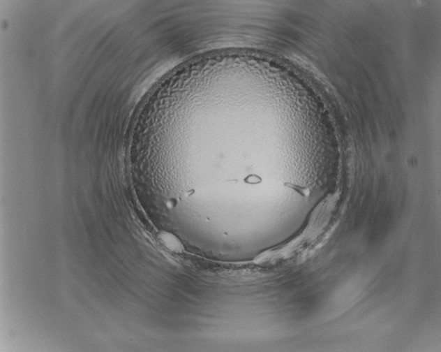 X0000069841121200606021354