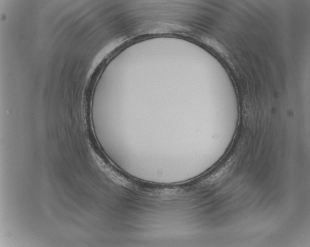 X0000069841122200606021354