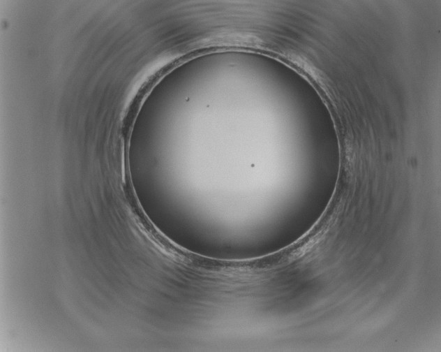 X0000069841123200606021354