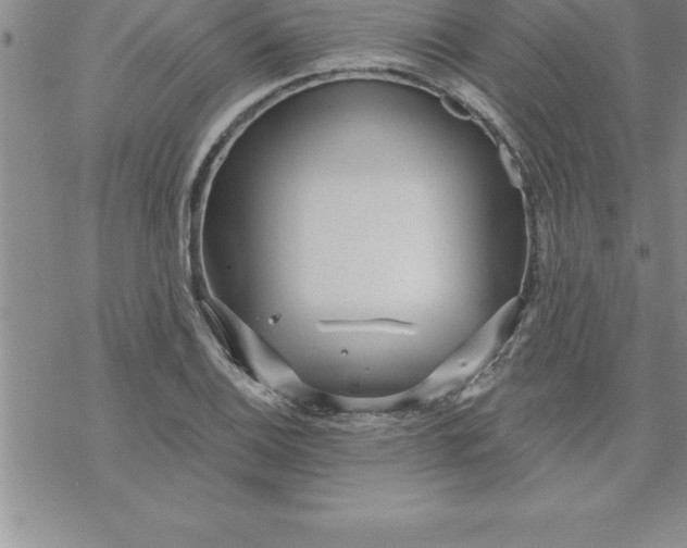 X0000069841124200606021354