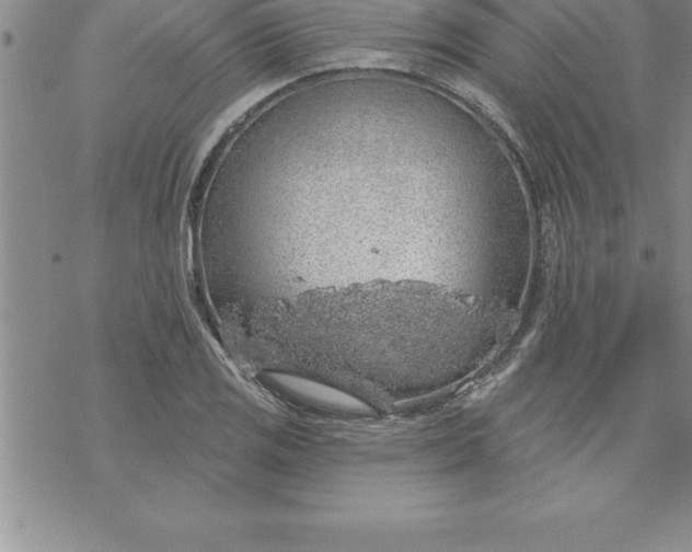 X0000069841125200606021354