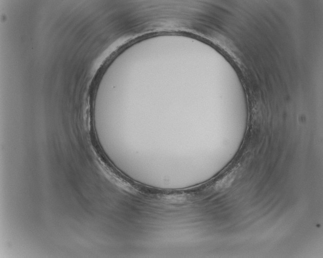 X0000069841126200606021355