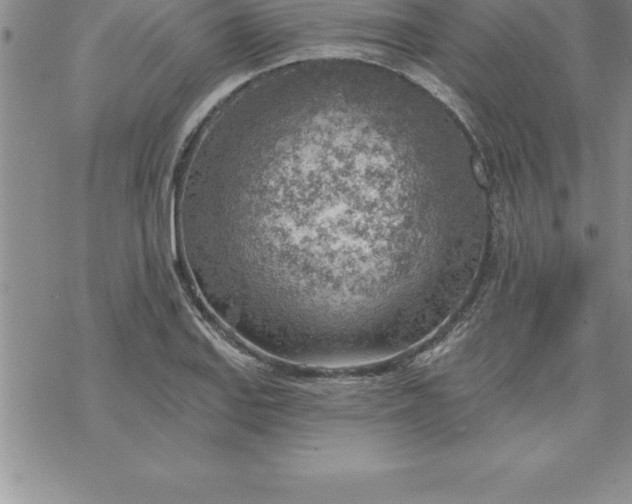 X0000069841127200606021355