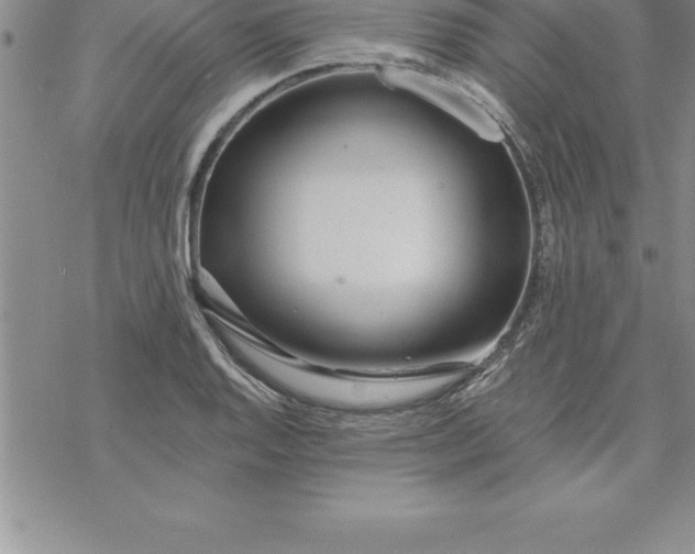 X0000069841128200606021355