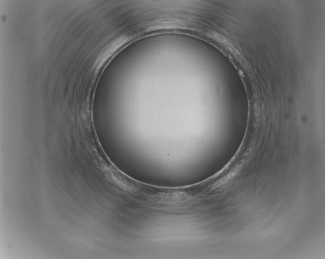 X0000069841129200606021355