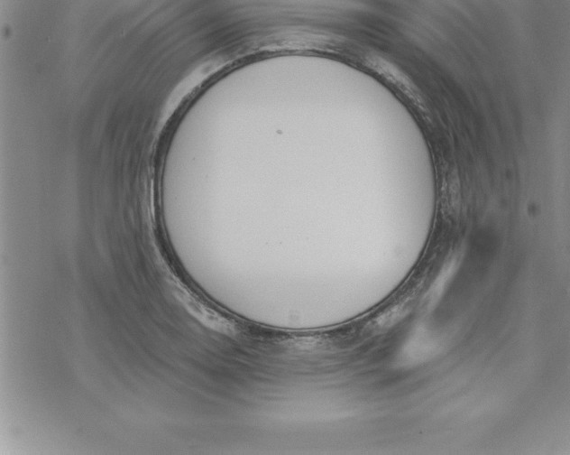 X0000069841130200606021355