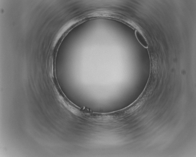 X0000069841131200606021355