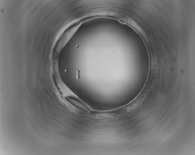 X0000069841132200606021355