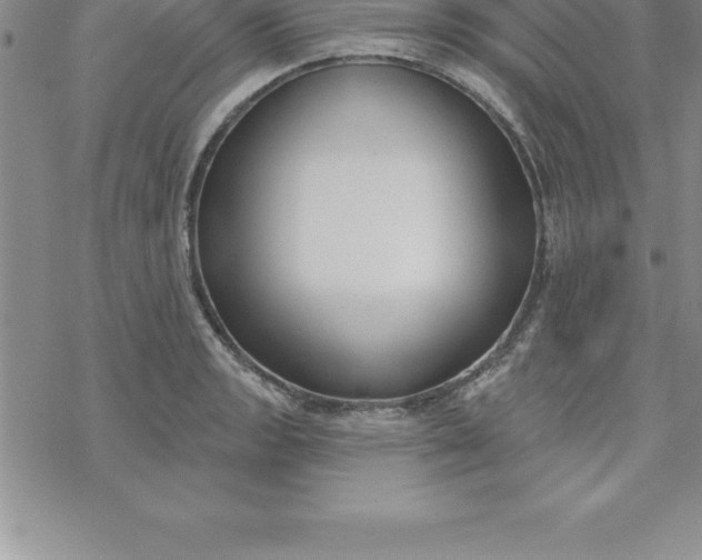 X0000069841133200606021355