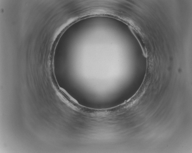 X0000069841134200606021355