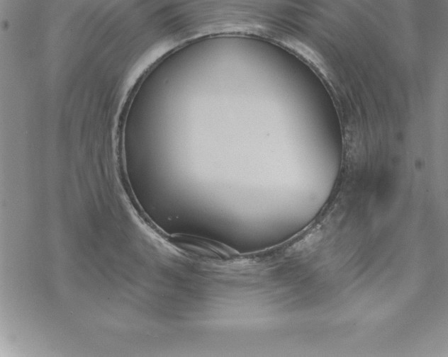 X0000069841135200606021355