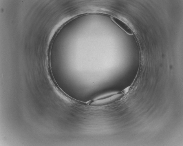 X0000069841136200606021355