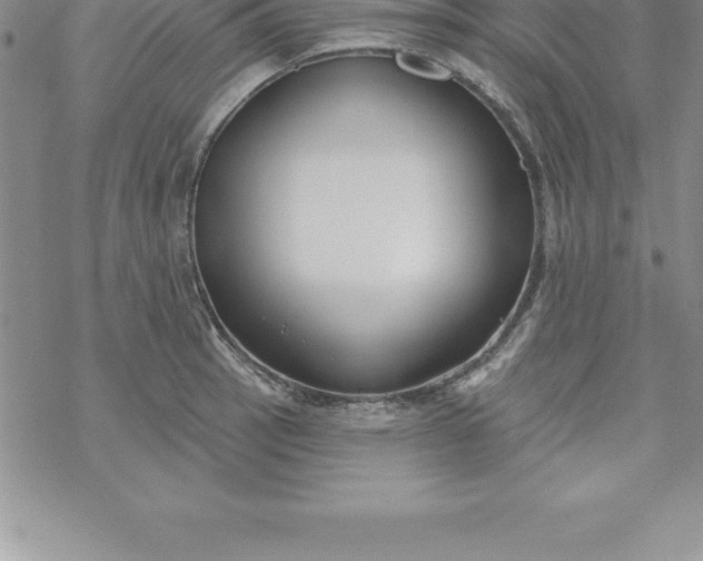 X0000069841137200606021355