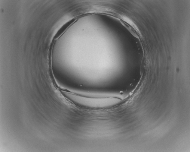 X0000069841138200606021355