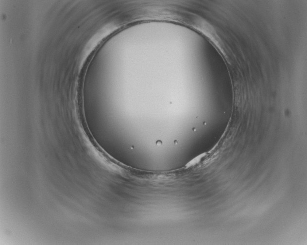 X0000069841139200606021355