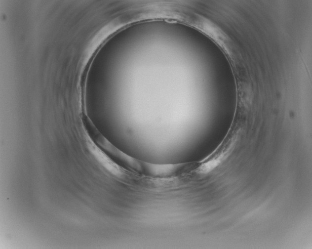 X0000069841140200606021355