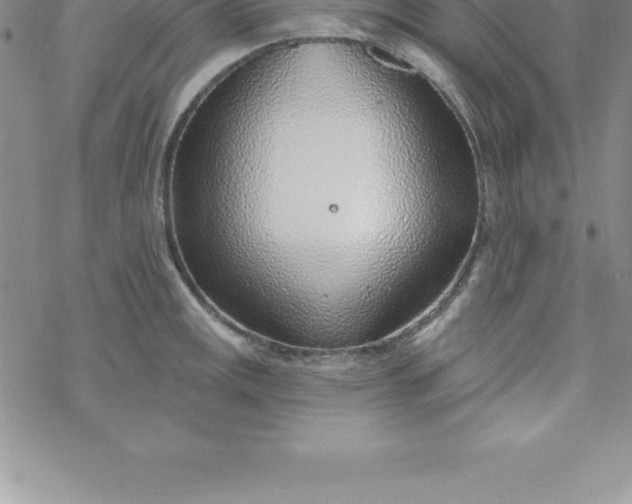 X0000069841141200606021355