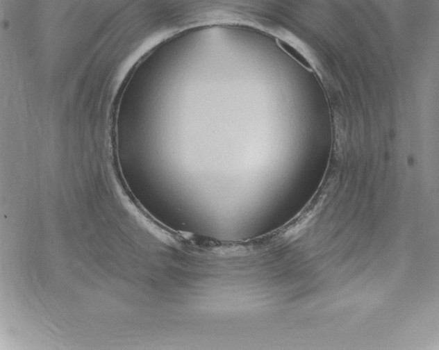 X0000069841142200606021355