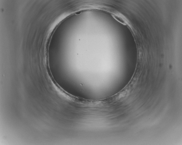 X0000069841143200606021355