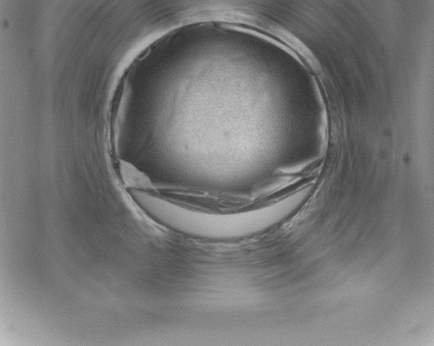 X0000069841144200606021355