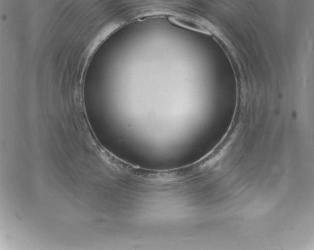 X0000069841145200606021355