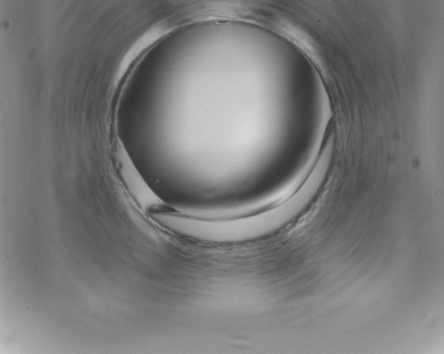 X0000069841146200606021355