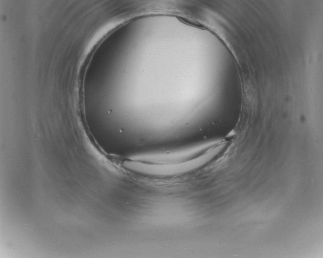 X0000069841147200606021355