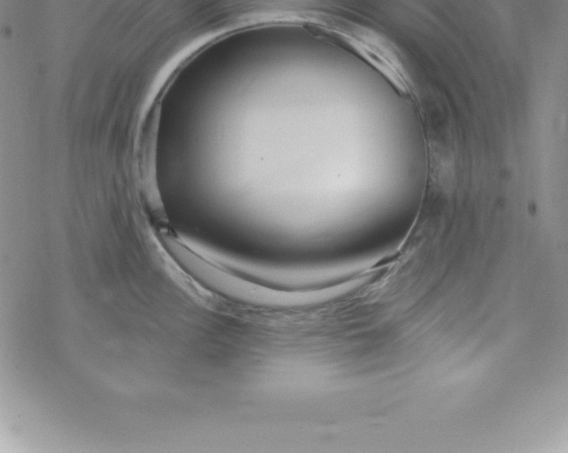 X0000069841148200606021355