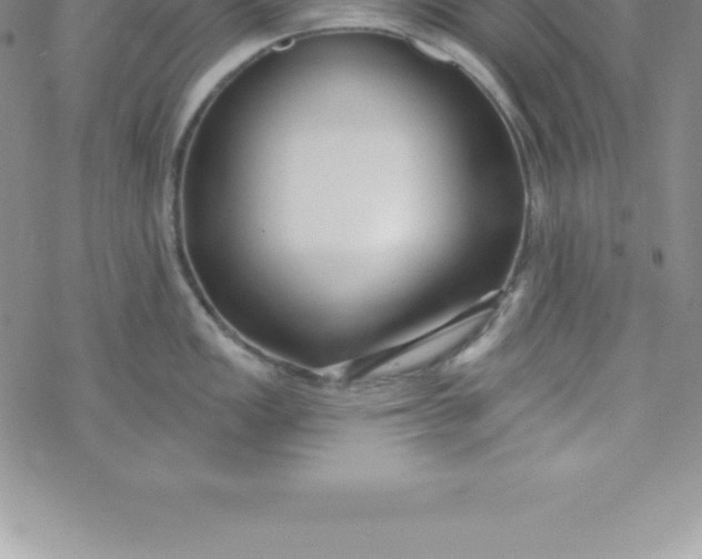 X0000069841149200606021355