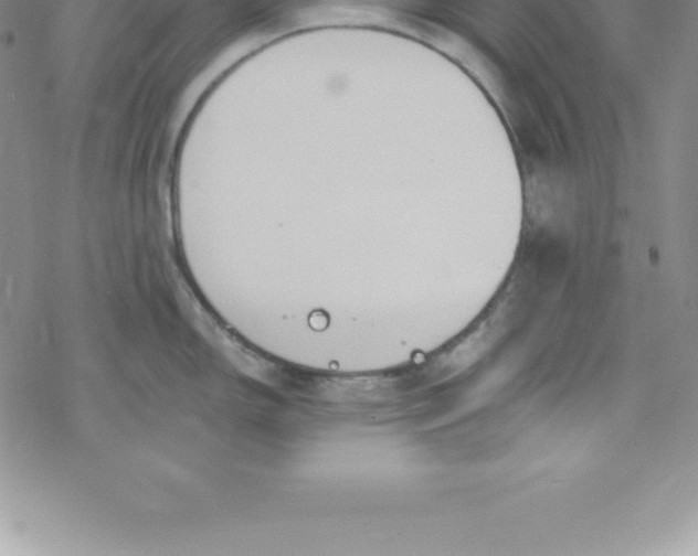 X0000069841150200606021355