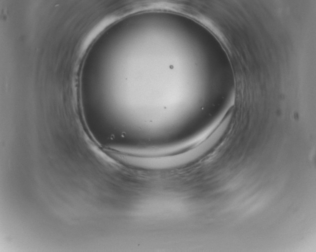 X0000069841151200606021355