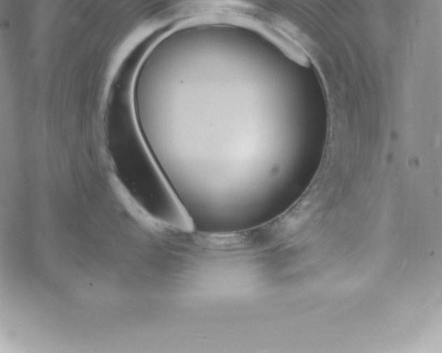 X0000069841152200606021355