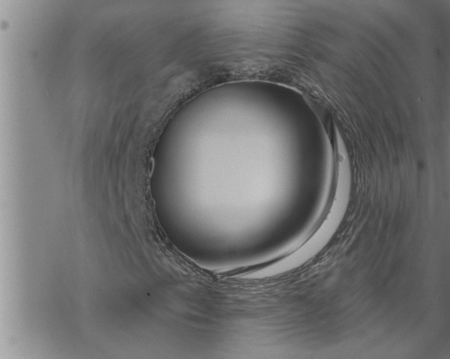 X0000069841153200606021354