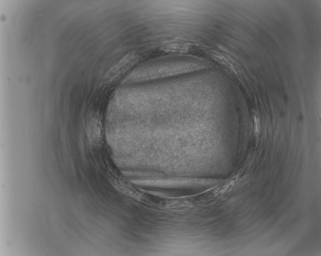 X0000069841154200606021354