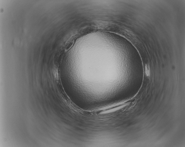 X0000069841155200606021354