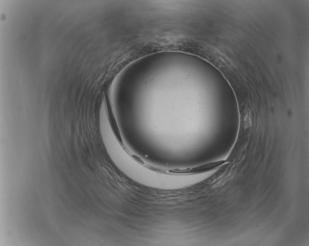 X0000069841156200606021354