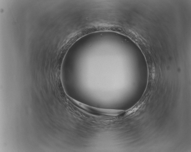 X0000069841157200606021354