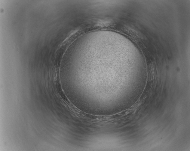 X0000069841158200606021354