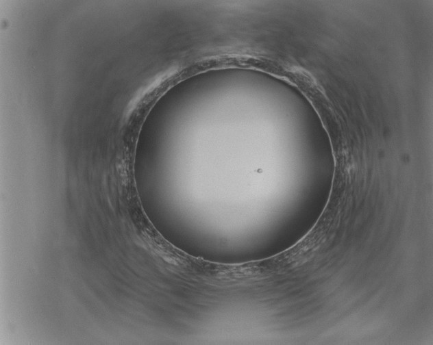 X0000069841159200606021354