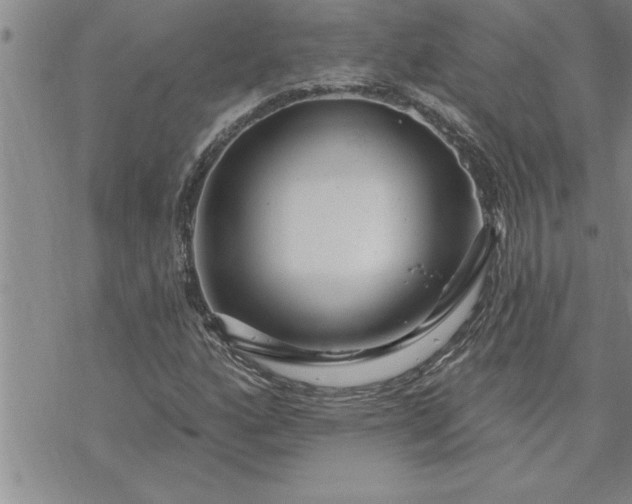 X0000069841160200606021354