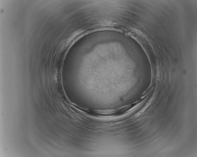 X0000069841161200606021354