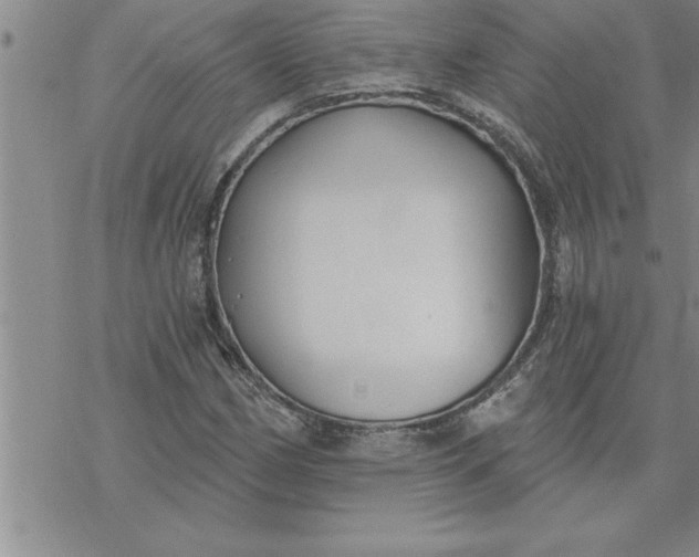 X0000069841162200606021354